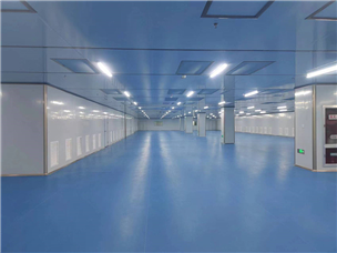 Jiangsu Rudong Completed Project